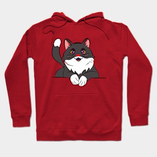 Kawaii Cat Hoodie